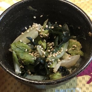 レンジで簡単☆白菜とわかめの味噌マヨ中華和え
